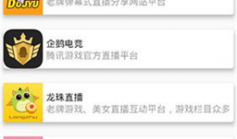 91直播ios轻,91直播iOS轻量级应用体验解析